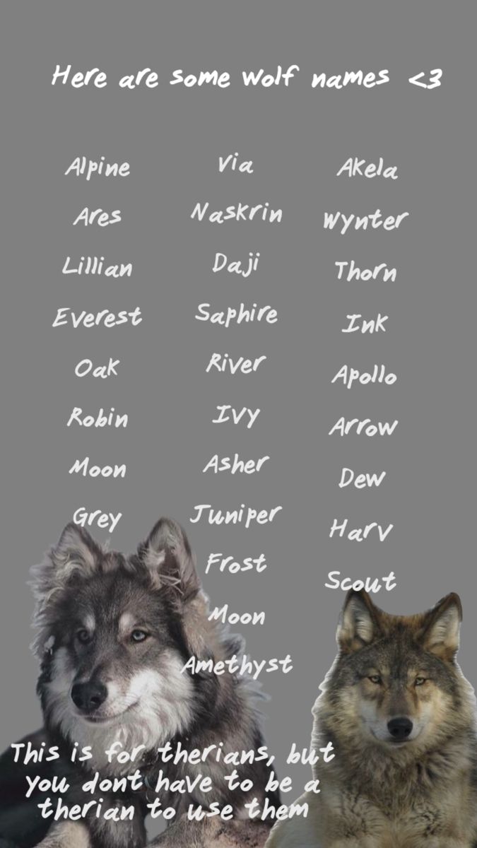 two wolfs sitting next to each other on a gray background with the words here are some wolf names