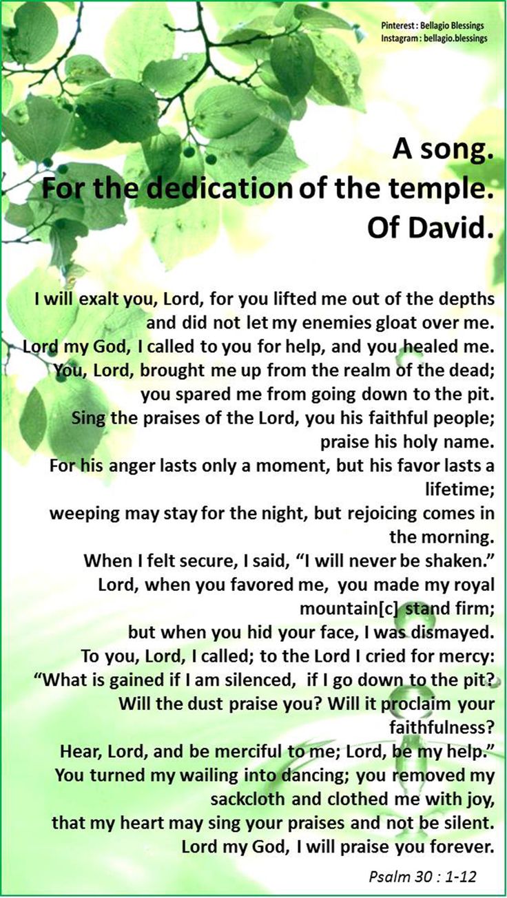 a poem with green leaves and the words for the dedication of the temple of david