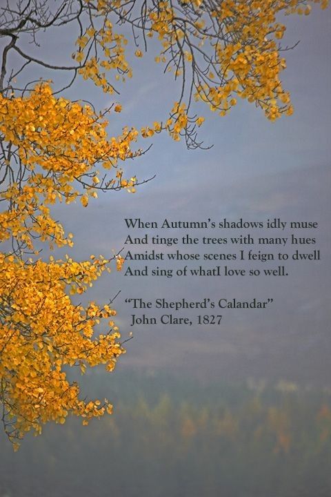 a tree with yellow leaves and a quote on it