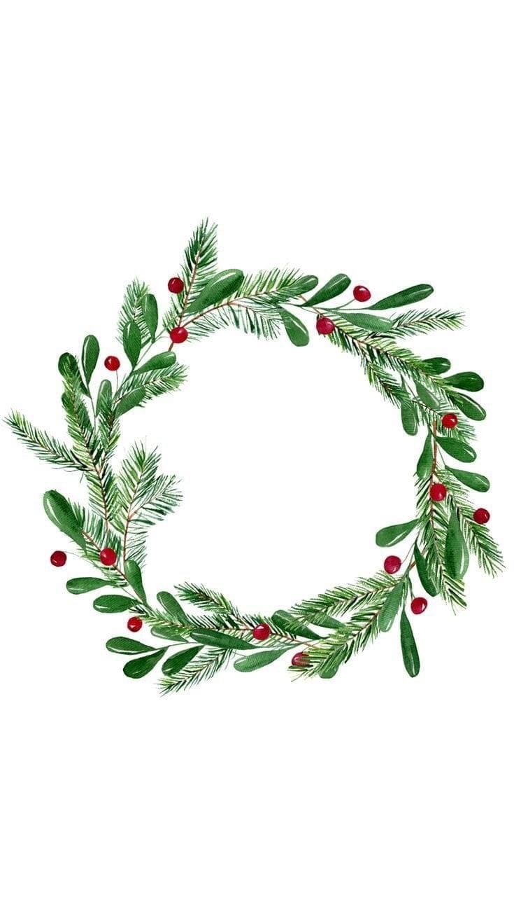 a christmas wreath made out of evergreen leaves and red berries on a white background with copy space in the center