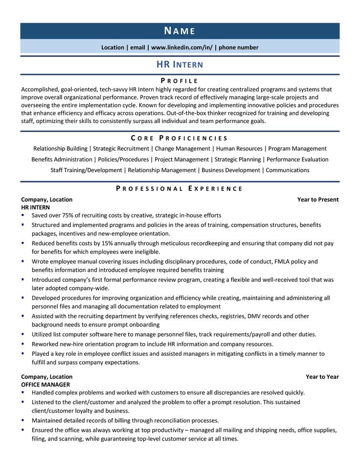 a professional resume template for an it project manager