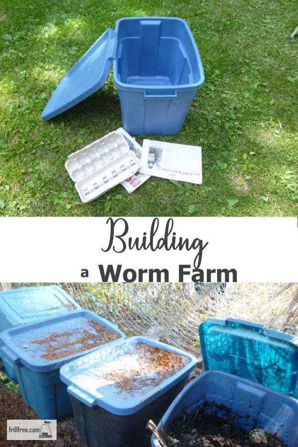 the before and after pictures show how to build a worm farm in an old plastic tub