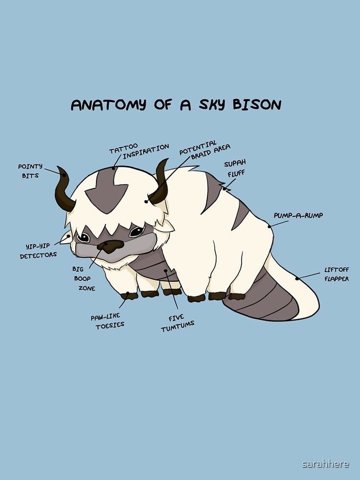 the anatomy of a sky bison on a blue background