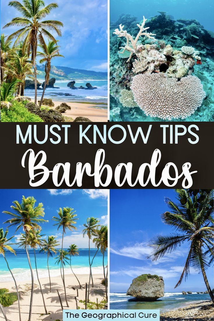 Key Tips For Visiting Barbados Barbados Bucket List, Best Restaurants In Barbados, Packing For Barbados, Things To Do In Barbados Top 10, Best Beaches In Barbados, Barbados Outfits, Barbados Aesthetic, Travel Barbados, Barbados Honeymoon