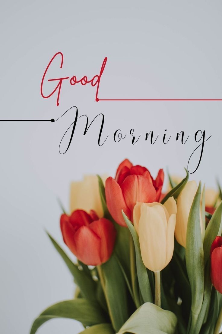 red and yellow tulips in a vase with the words good morning on it