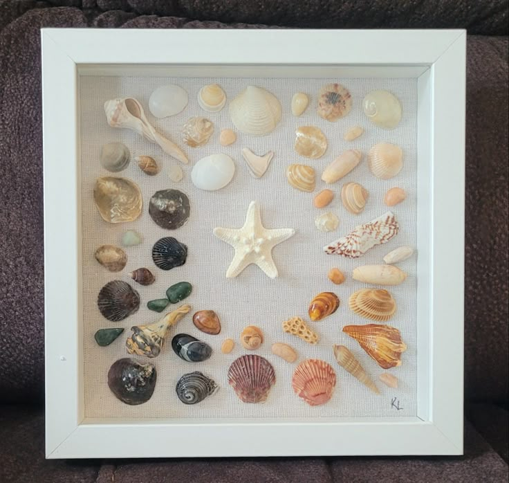 a shadow box frame with sea shells and starfishs in it on a couch