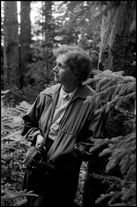 black and white photograph of a man in the woods