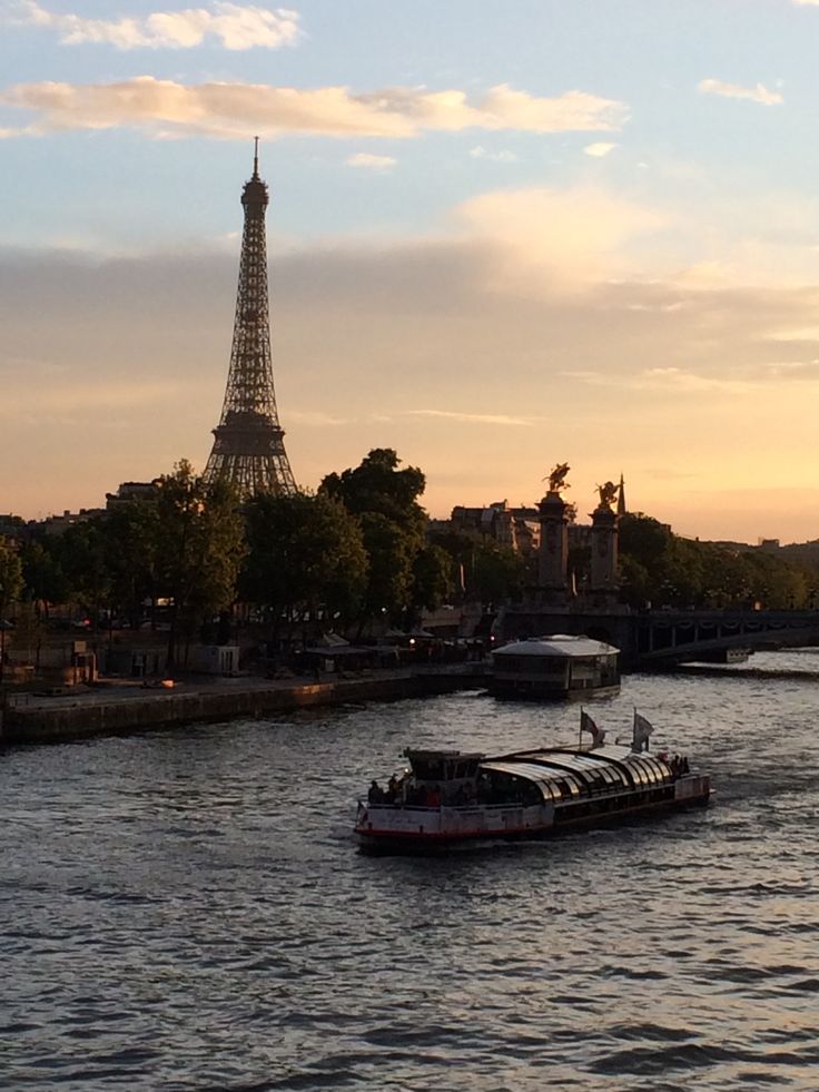 the eiffel tower towering over the city of paris from across the river seine