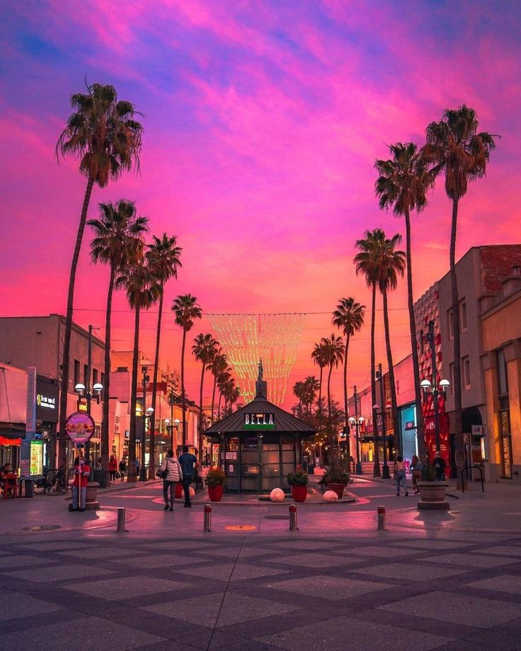 palm trees line the street in front of shops at sunset with pink and blue sky