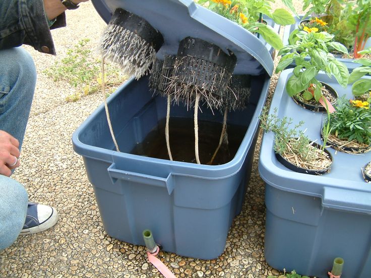 two blue plastic containers with plants in them