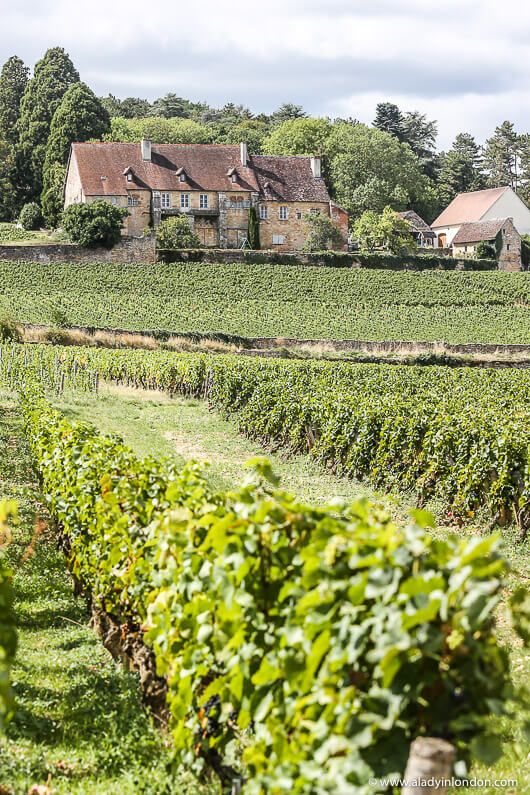 an old farm house sits in the middle of a field with vines growing on it