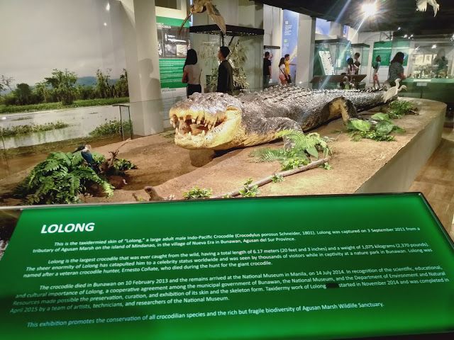 the exhibit features an alligator and other animals