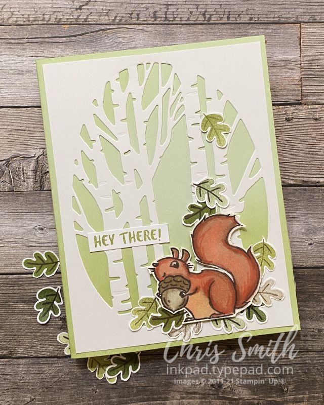 a handmade card with an image of a squirrel on it's back and the words hey there