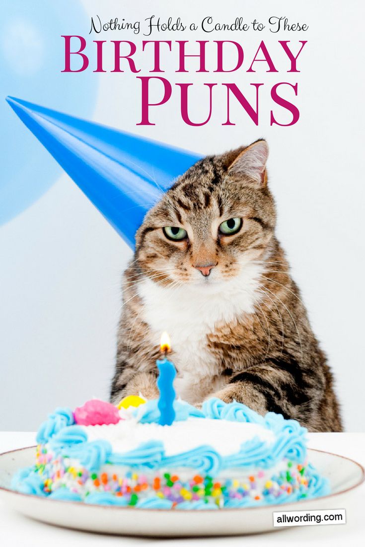 a cat sitting in front of a birthday cake