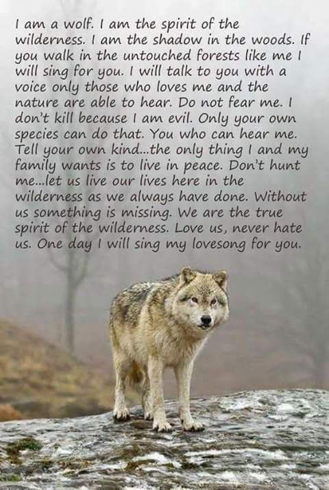 a wolf standing on top of a rock with a poem written in front of it