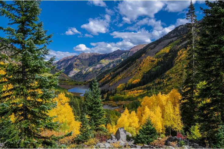 the mountains are full of trees with yellow leaves on them and some water in the distance