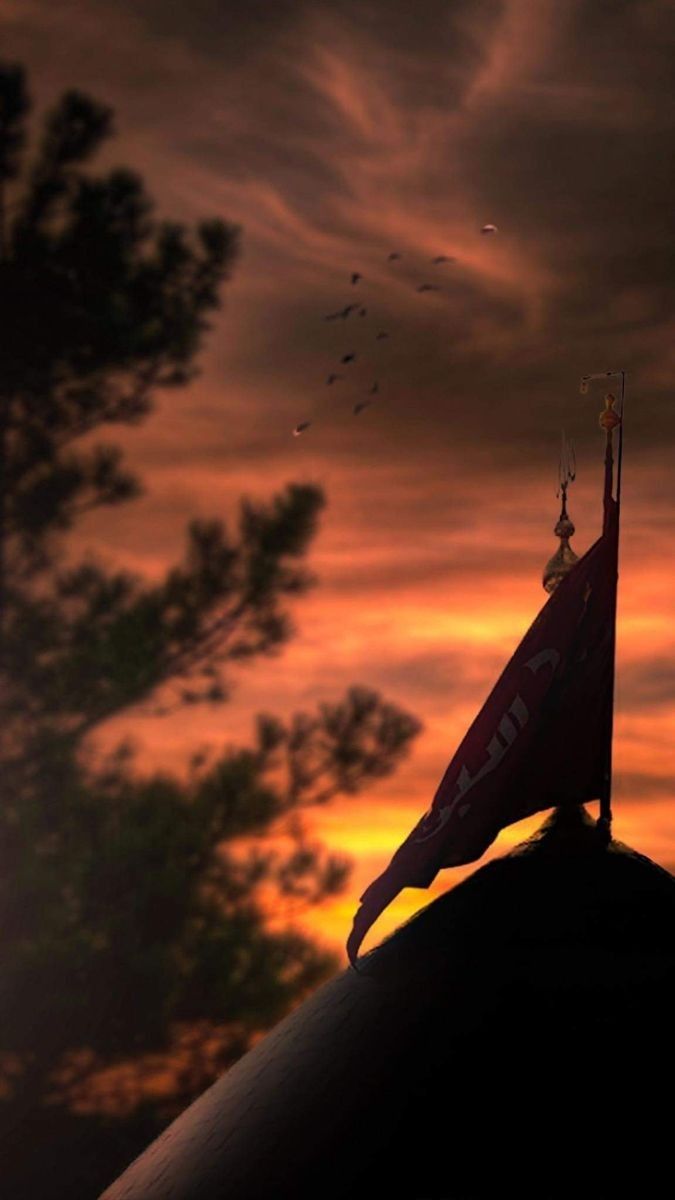 a flag on top of a building in front of a sunset with birds flying overhead