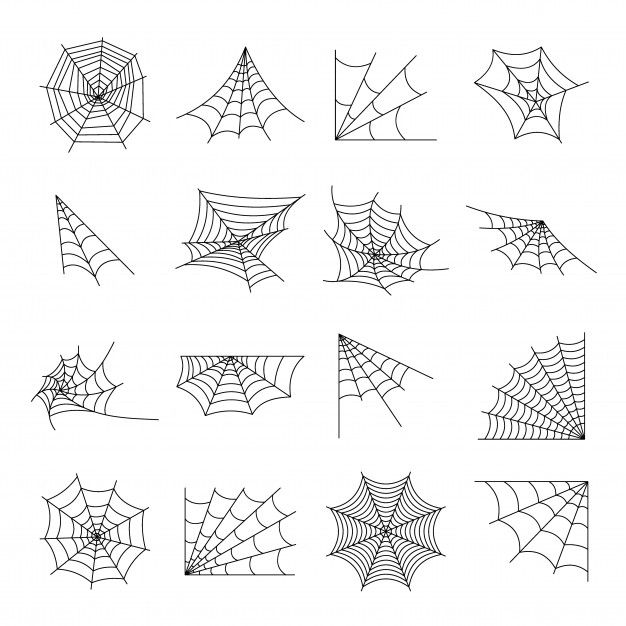 spider webs and cobwes on white background