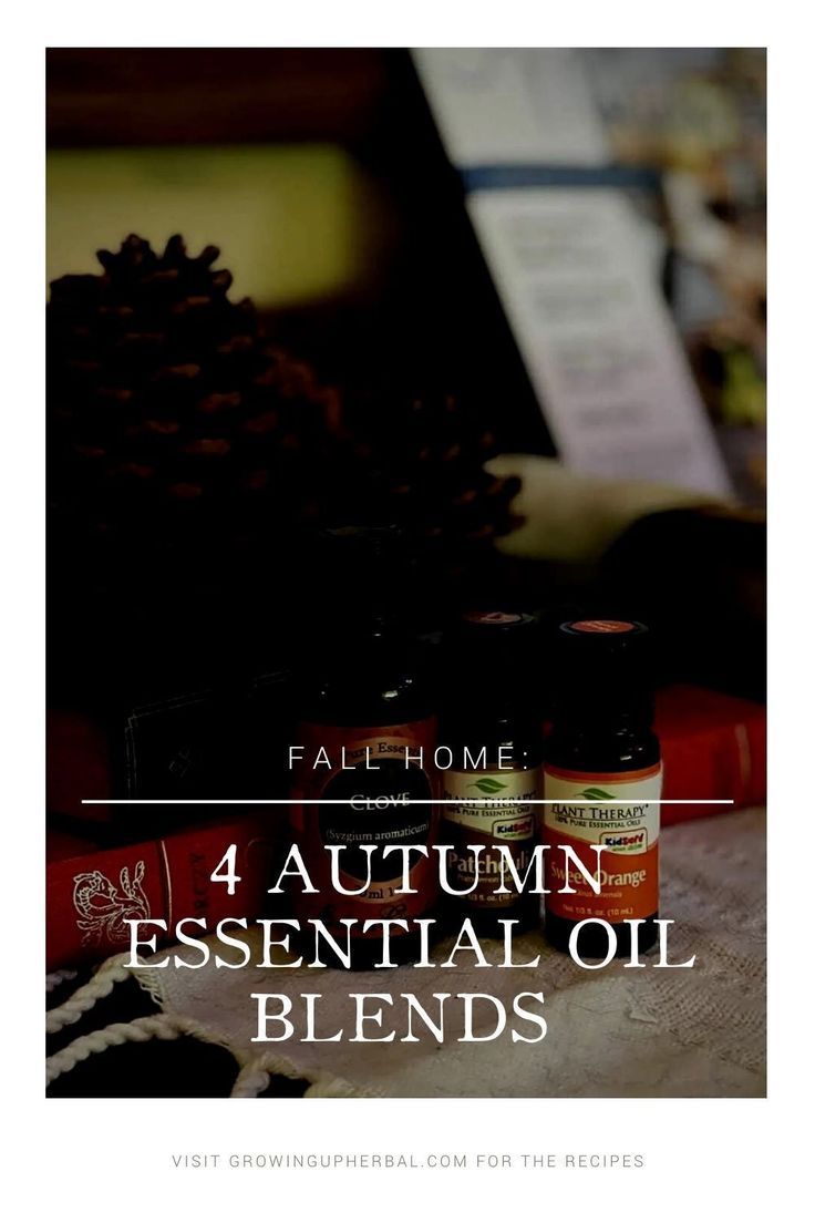 If you're looking for some cozy autumn essential oil blends for your home this season, look now further! I have 4 of my favorite autumn essential oil blends for you in this blog post! Autumn Essential Oil Blends, Herbal Bath Recipes, Fall Essential Oil Blends, Medicine Garden, Fall Essential Oils, Homemade Cleaning Supplies, Homemade Essential Oil, Bath Recipes, Essential Oil Spray