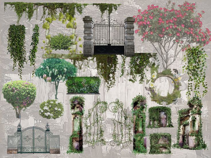 a collage of different types of plants and trees in front of a gated area