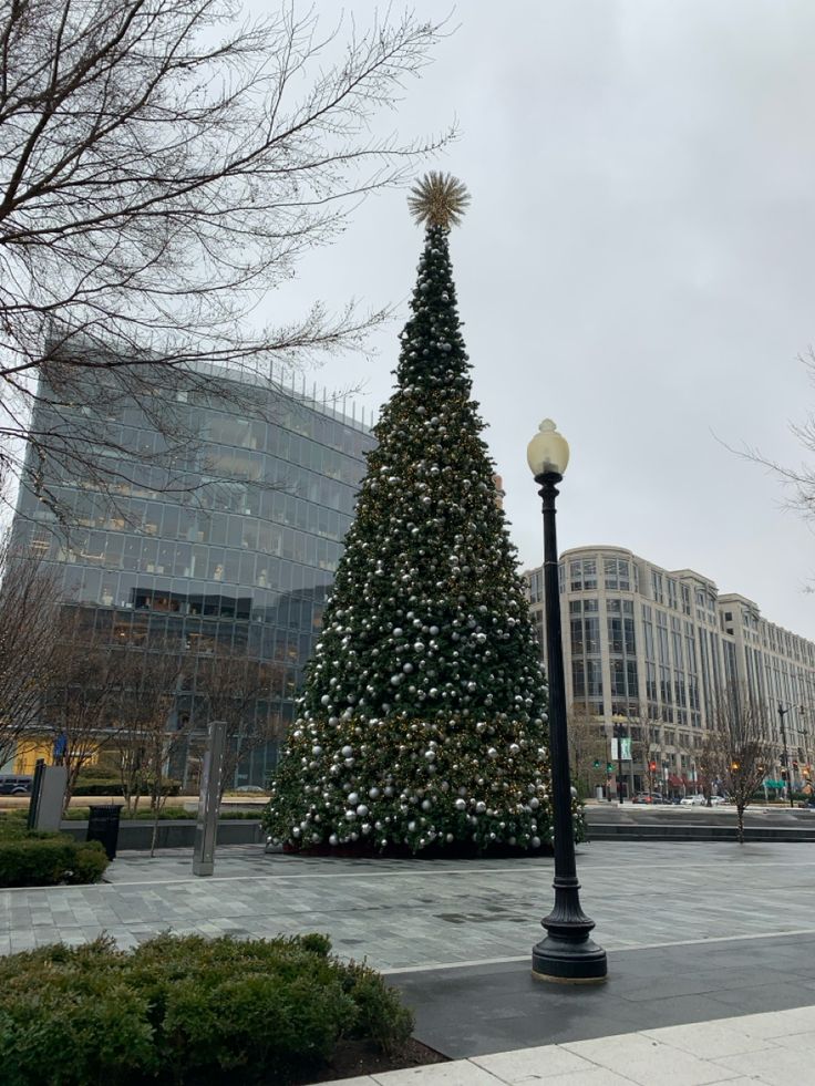 a large christmas tree sitting next to a street light