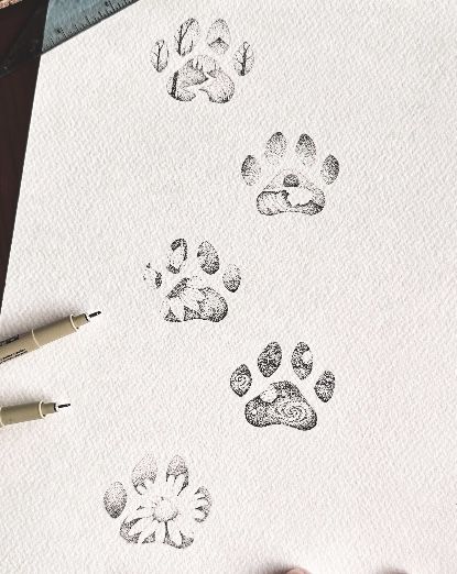 someone is drawing paw prints on white paper