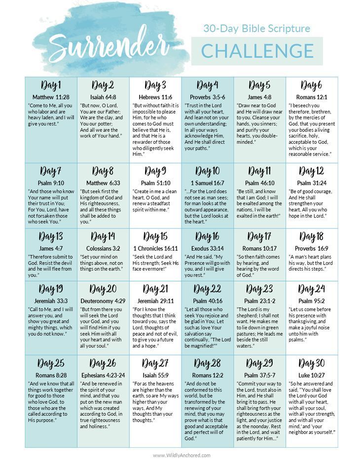 the 30 day bible schedule for children