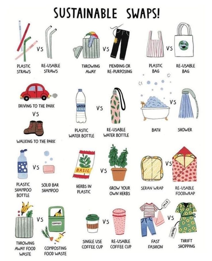 an illustrated poster with different types of items