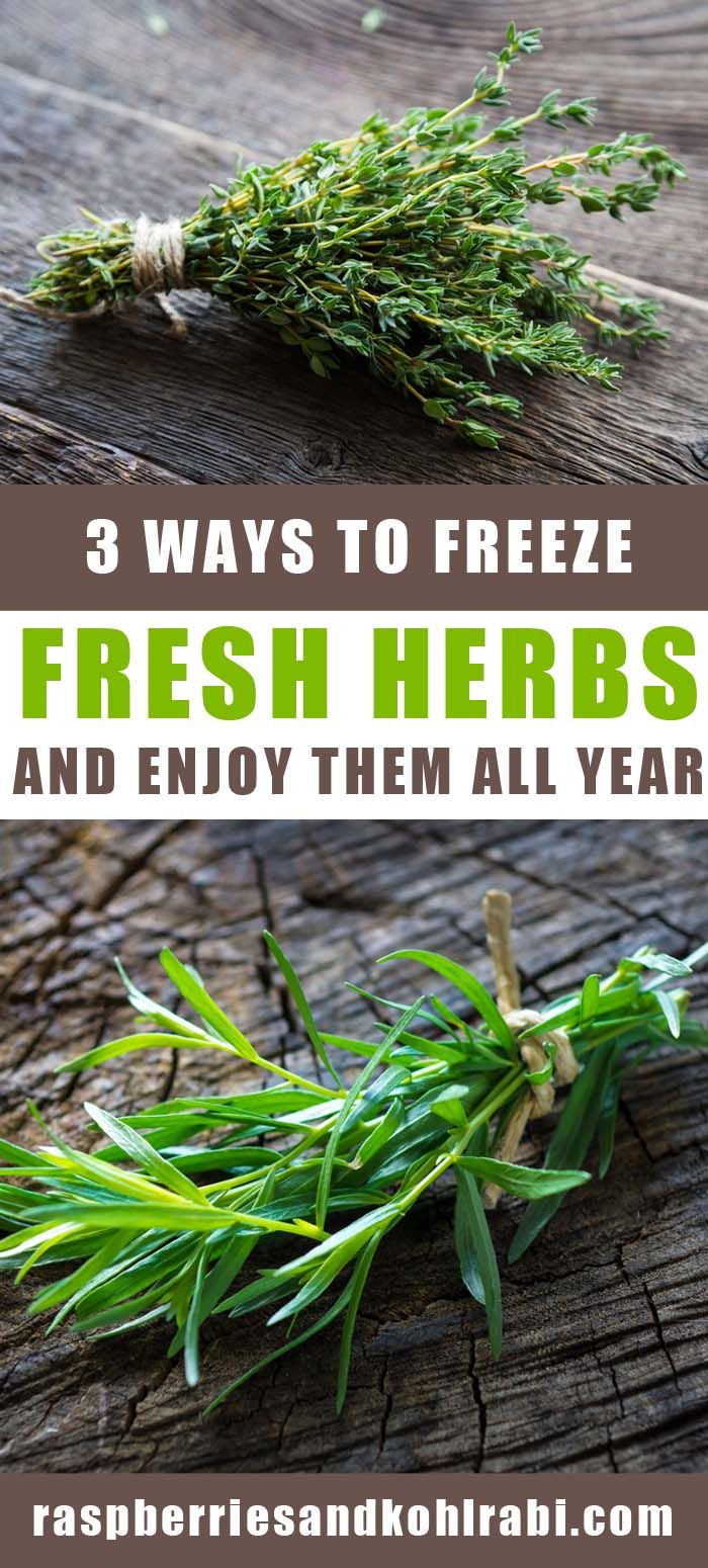 fresh herbs and how to use them all year long