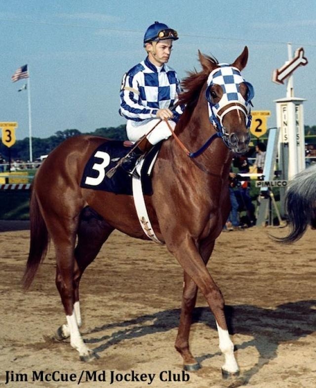 a man riding on the back of a brown horse down a race track with other horses in the background