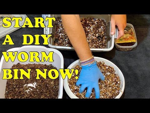 How to Build A Worm Bin | Small Quick & Easy + How Much Food & Bedding to Start With | Vermicompost - YouTube Worm Beds, Meal Worms, Worm Bin, Food Scraps, Junk Mail, Composting, How To Build, Quick Easy, My Garden