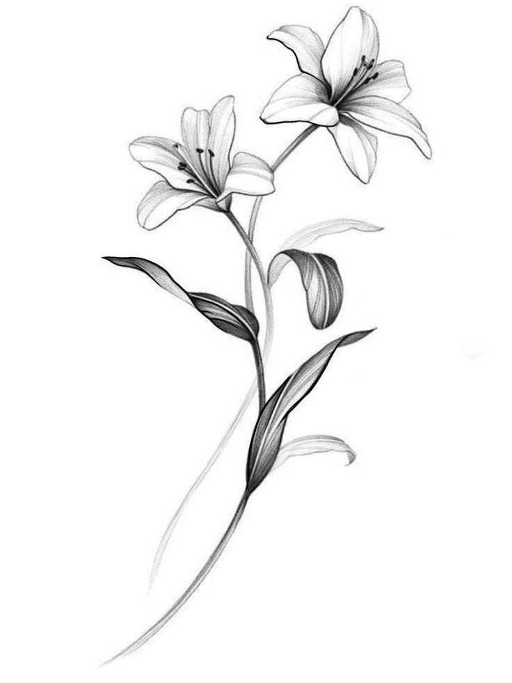 a drawing of three flowers on a white background