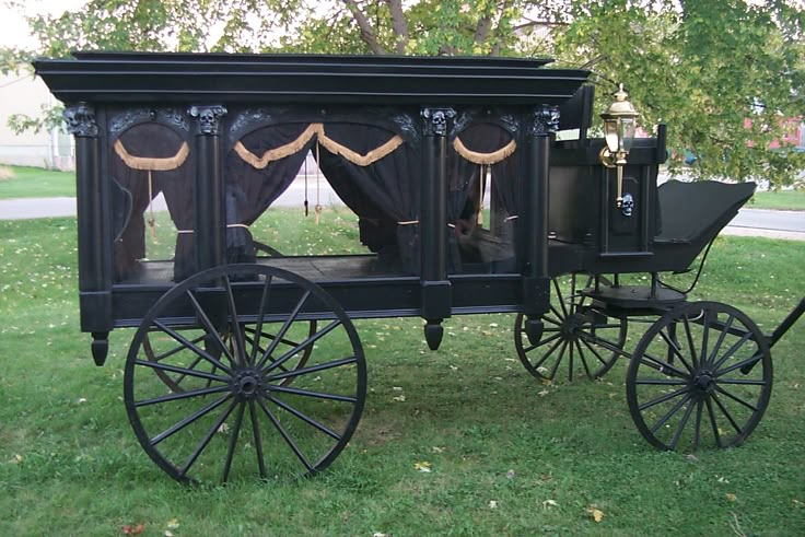 an old fashioned horse drawn carriage in the grass