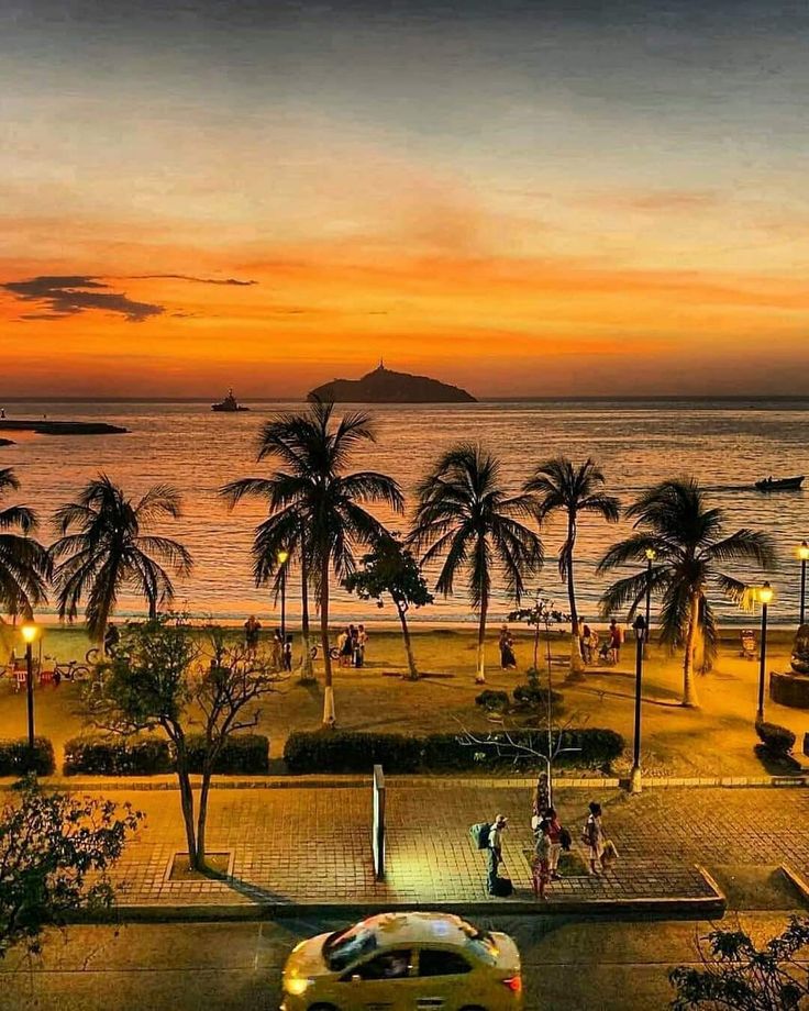 a car parked on the side of a road next to water and palm trees at sunset