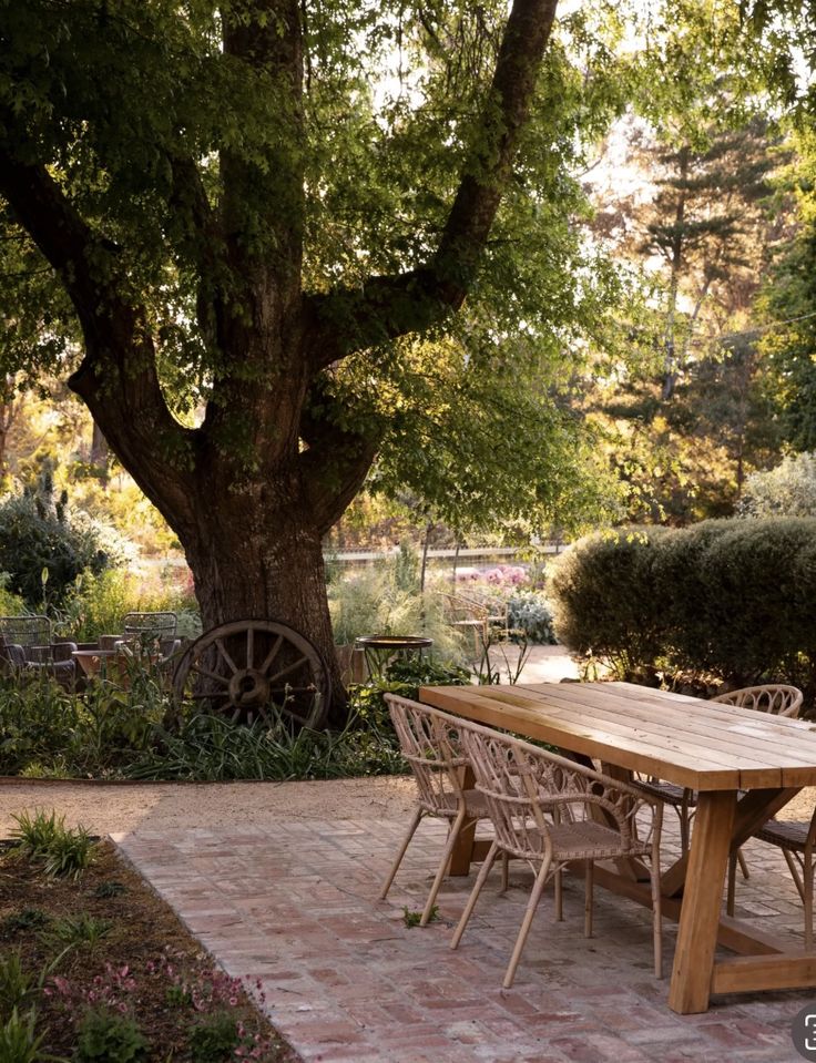 a wooden table sitting under a large tree