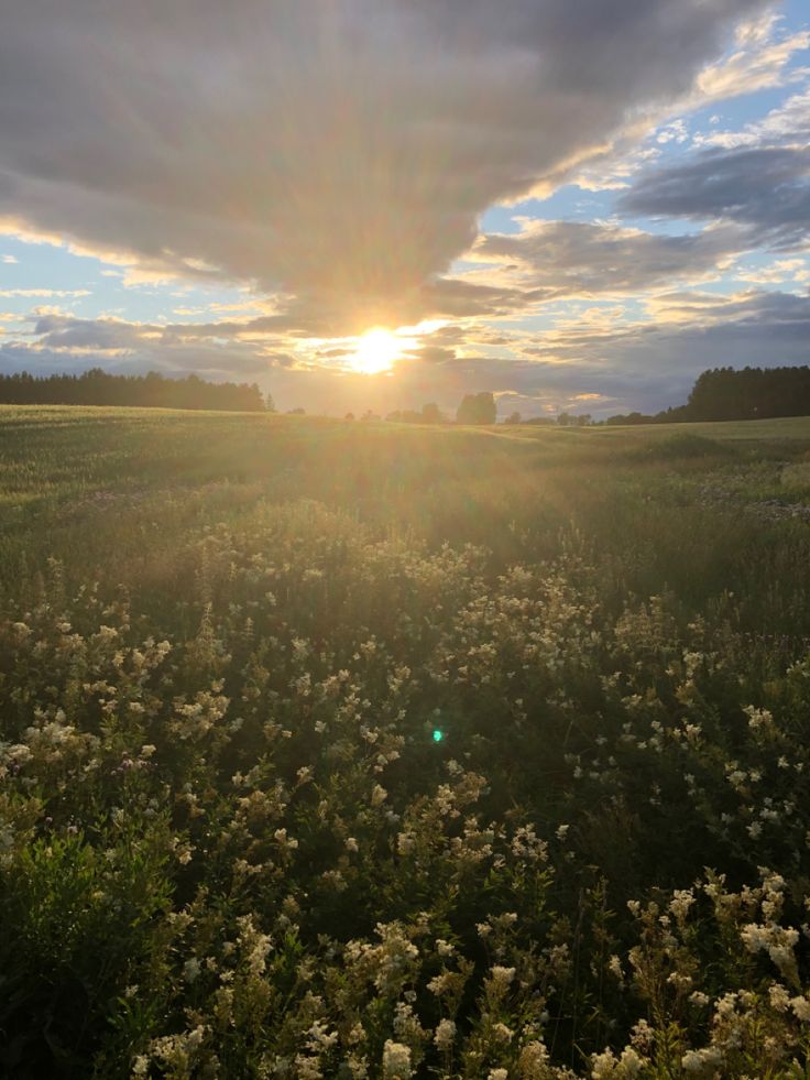 the sun shines brightly through clouds over a field with wildflowers in bloom