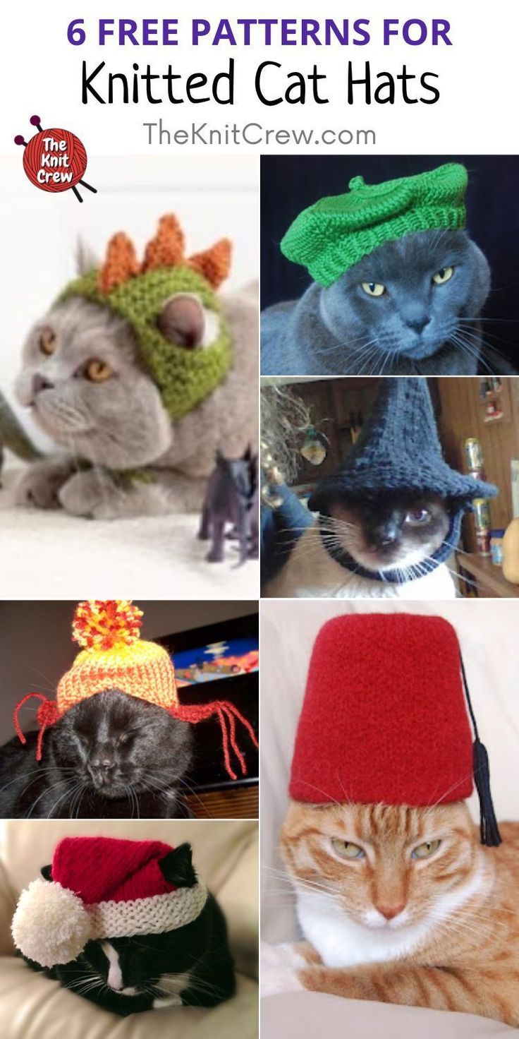 there are many different hats for cats to wear