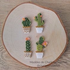 three small cactus plants are sitting on a piece of wood, each with different designs