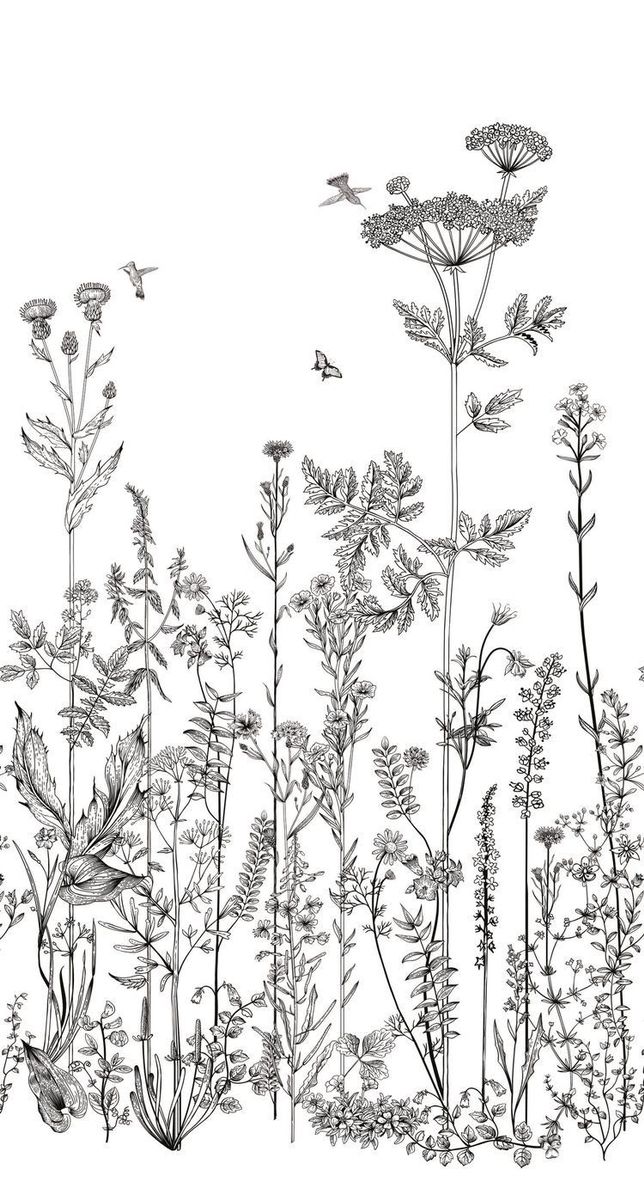 an ink drawing of wildflowers and butterflies