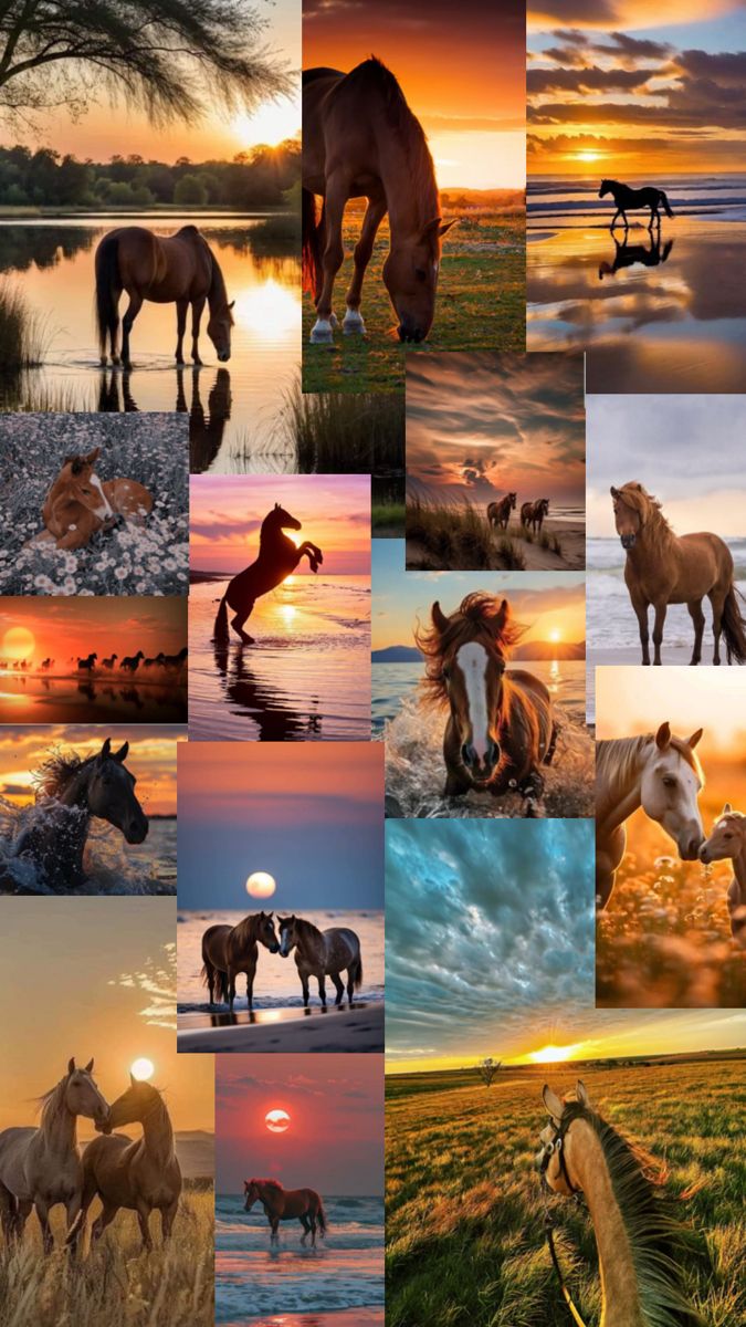 many different pictures of horses and sunsets in the sky, with one horse running