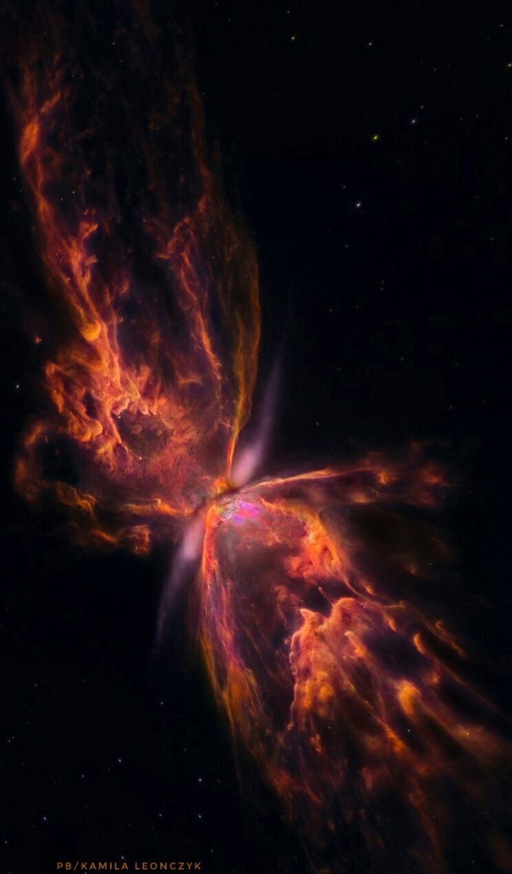 an image of a butterfly shaped object in the sky with stars and dust around it