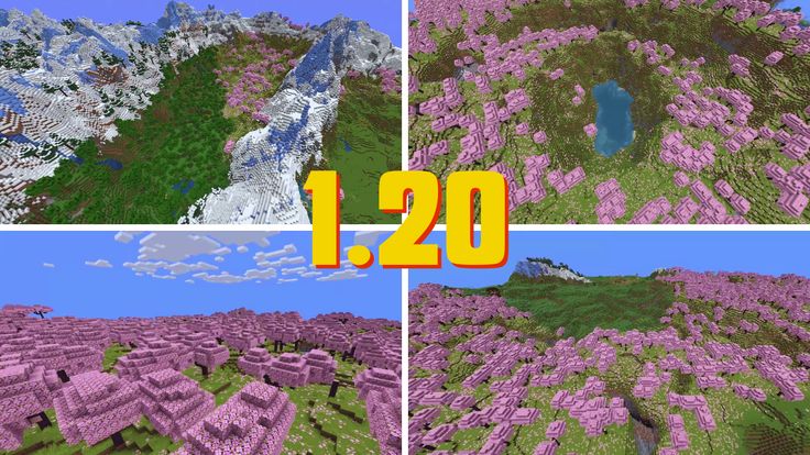 four different views of the same area in minecraft, with mountains and flowers on each side