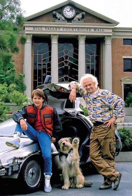 two men and a dog sitting in front of a car