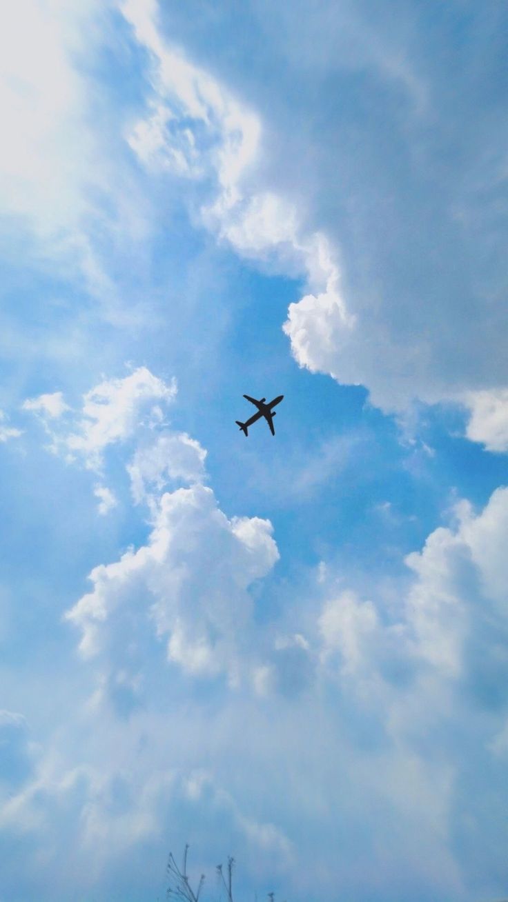 an airplane is flying high in the sky above some trees and bushes on a cloudy day