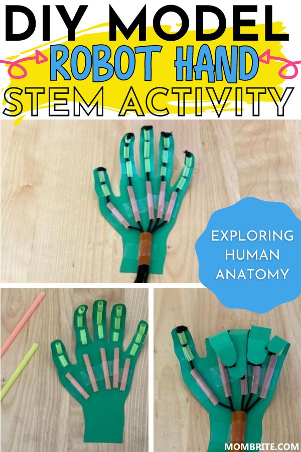 Stem Activity For Preschool, Stem Hand Project, Anatomy Stem Activities, Robot Hand Stem Activity, Engineering Crafts For Preschool, Engineering For Preschoolers, Steam For Elementary Students, Stem Fair Project Ideas For 5th Graders, 4th Grade Stem Projects