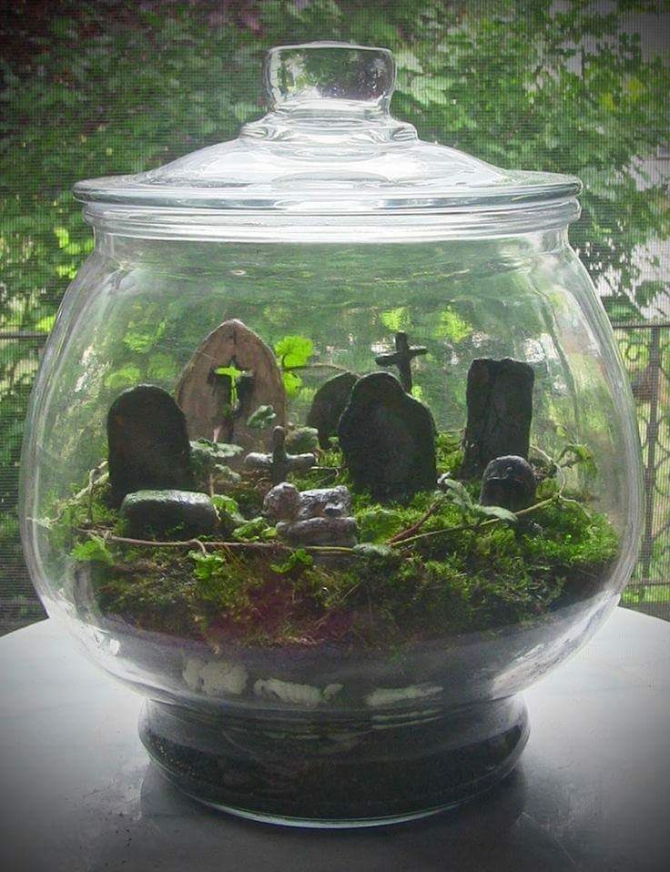 a glass bowl filled with moss and rocks