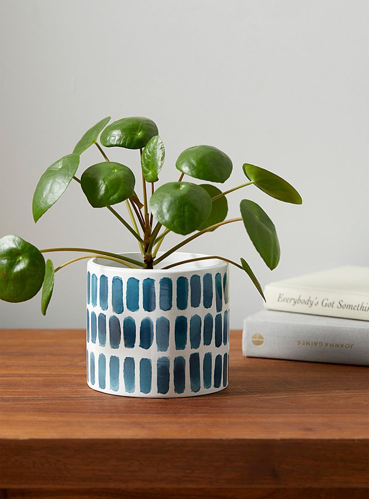 a potted plant sitting on top of a wooden table next to a white book