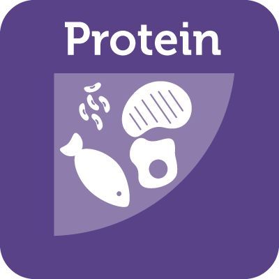 Protein Foods Group icon Nutrition Basics, Roasted Soybeans, Dark Green Vegetables, Group Icon, Lean Protein Meals, Health Fair, Food Program, Salmon Steak, Lean Pork