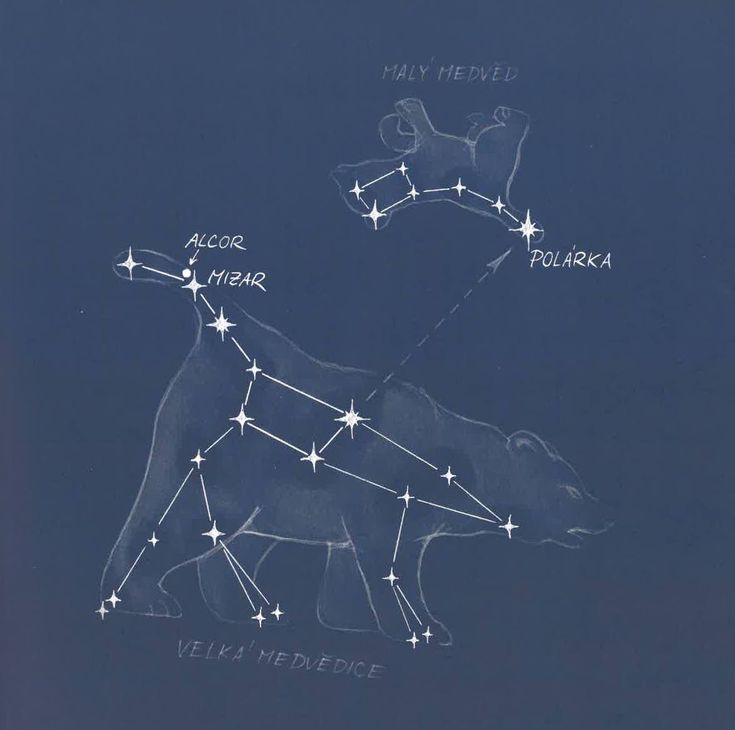 the zodiac bear is depicted in this blue sky drawing with white stars on it's side