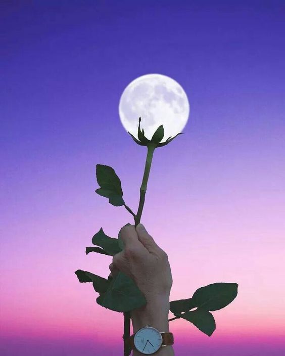 a person holding a flower with the moon in the background